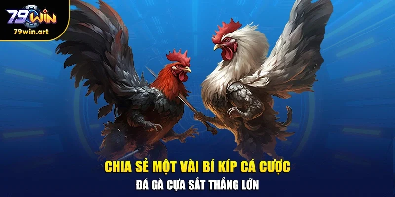 Chia sẻ một vài bí kíp cá cược đá gà cựa sắt thắng lớn